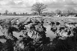 A muddy field