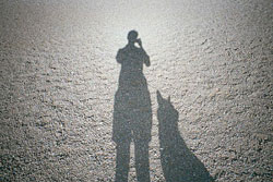 Shadow of Dunstan and a dog