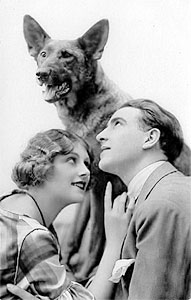 Woman looking lovingly at man, who's looking lovingly at an alsation dog