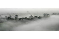 A foggy scene of a valley